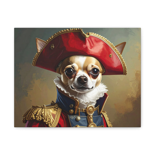 Napoleon: Portrait - chunique chihuahuas
