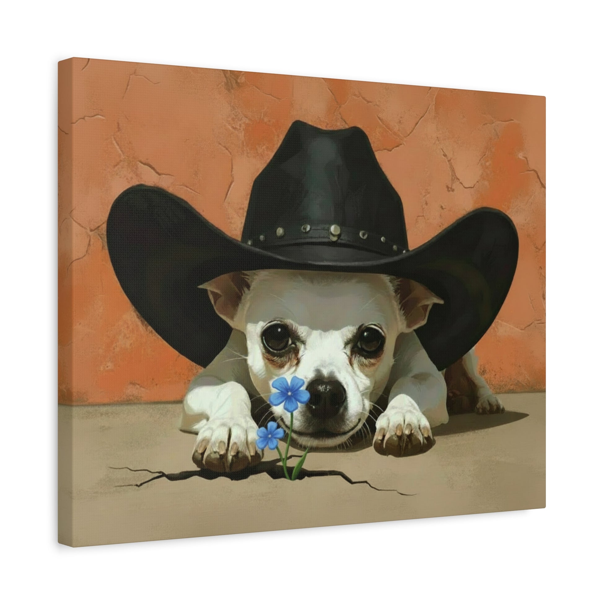 The Southwest: Cowboy Hat & Chihuahua - Chunique Chihuahuas