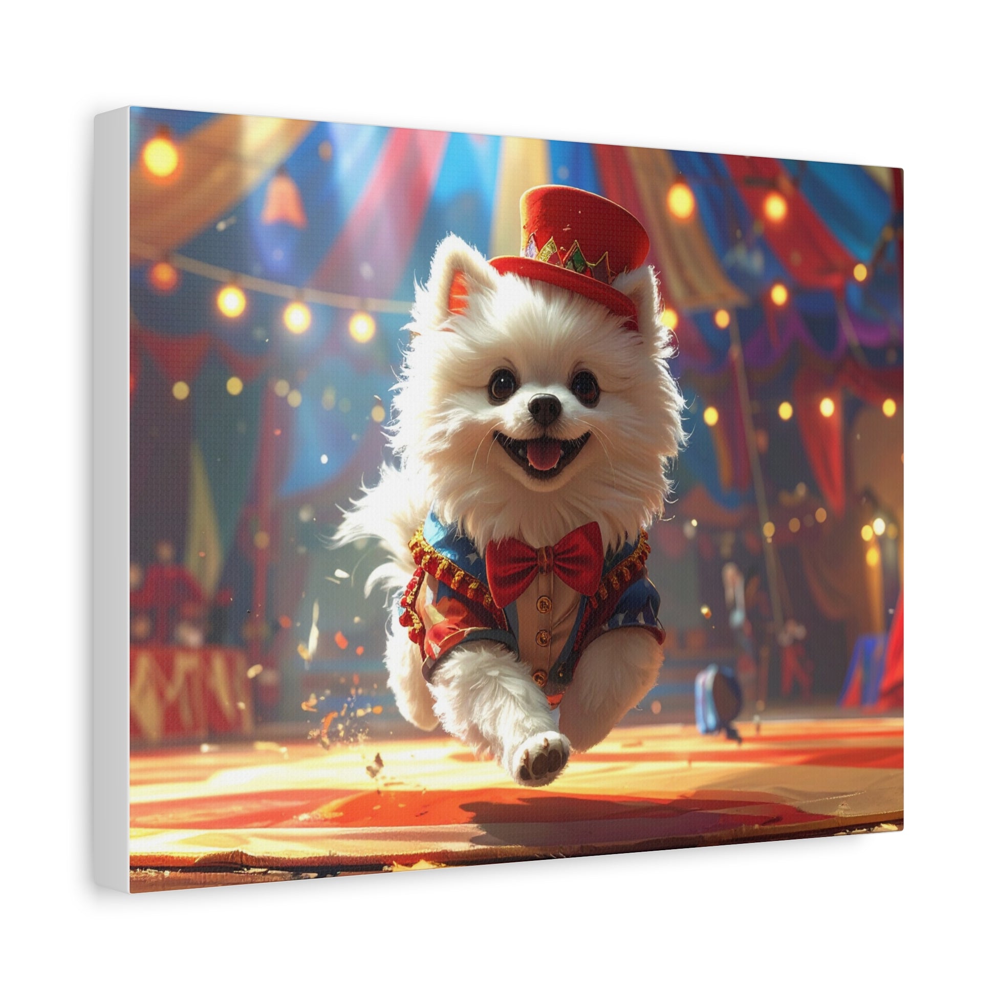 Pom - Pom Mayhem: Ringmaster - chunique chihuahuas