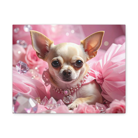 Rags to Riches: Princess - Chunique Chihuahuas