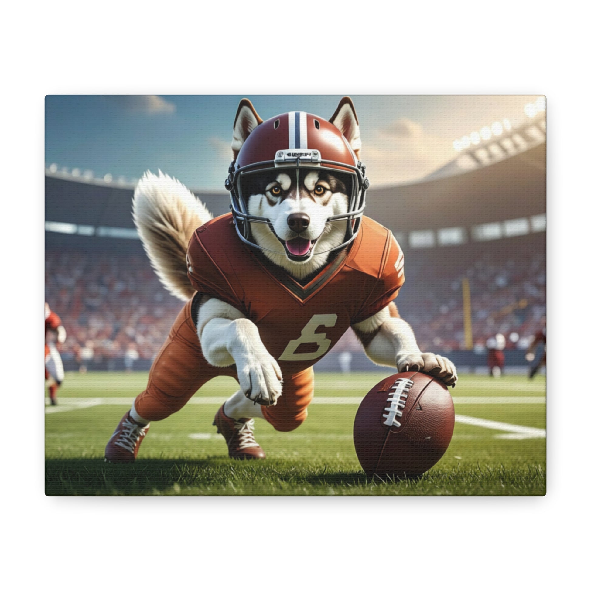 All - Stars: Football - Chunique Chihuahuas