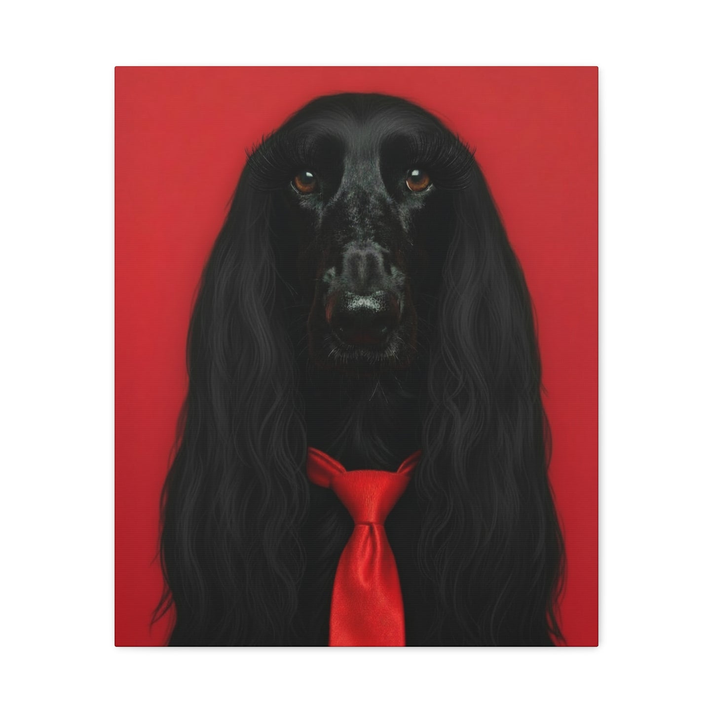 Glamorous Grandeur: Black & Red - Chunique Chihuahuas