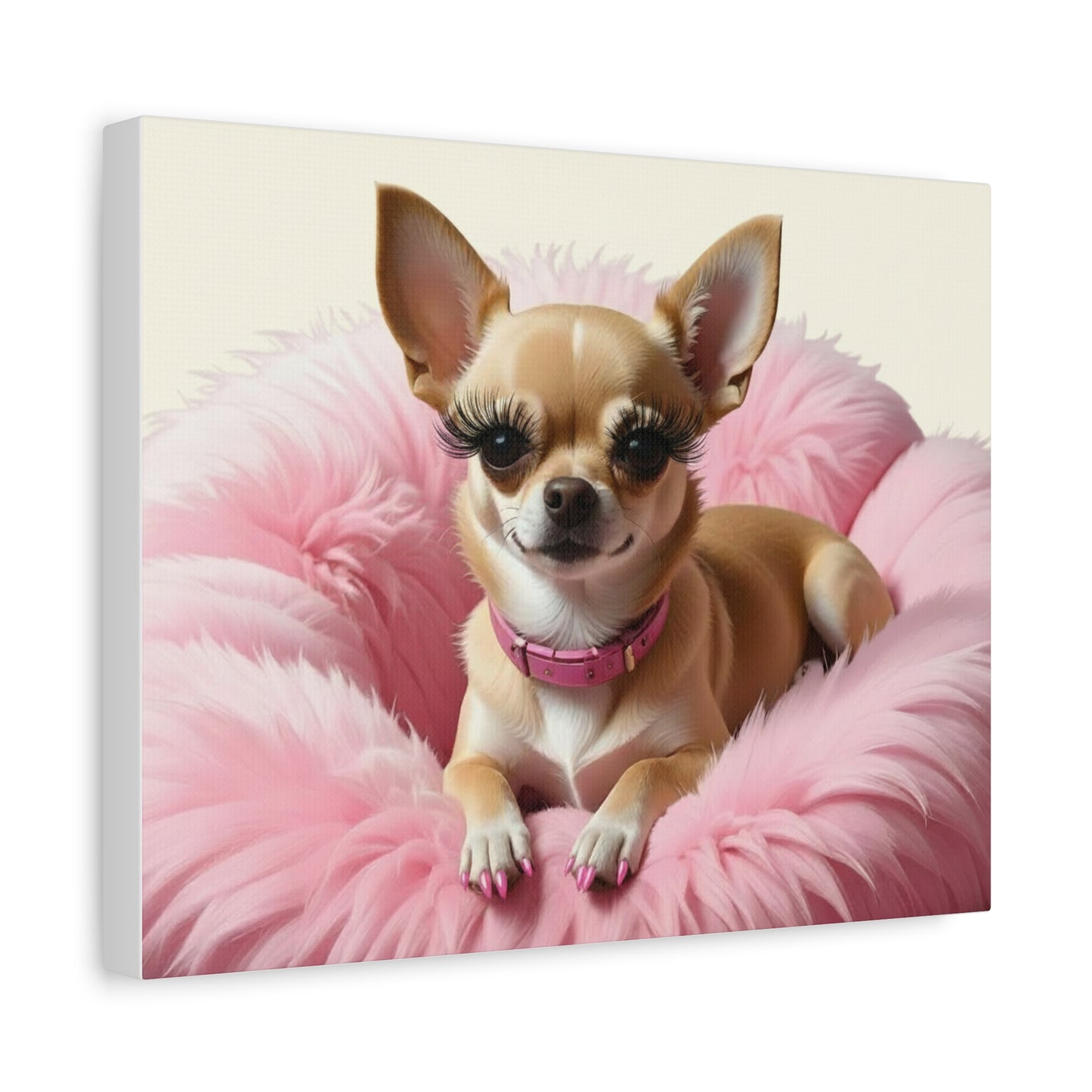 Perfectly Pink: Pink & Cream - chunique chihuahuas