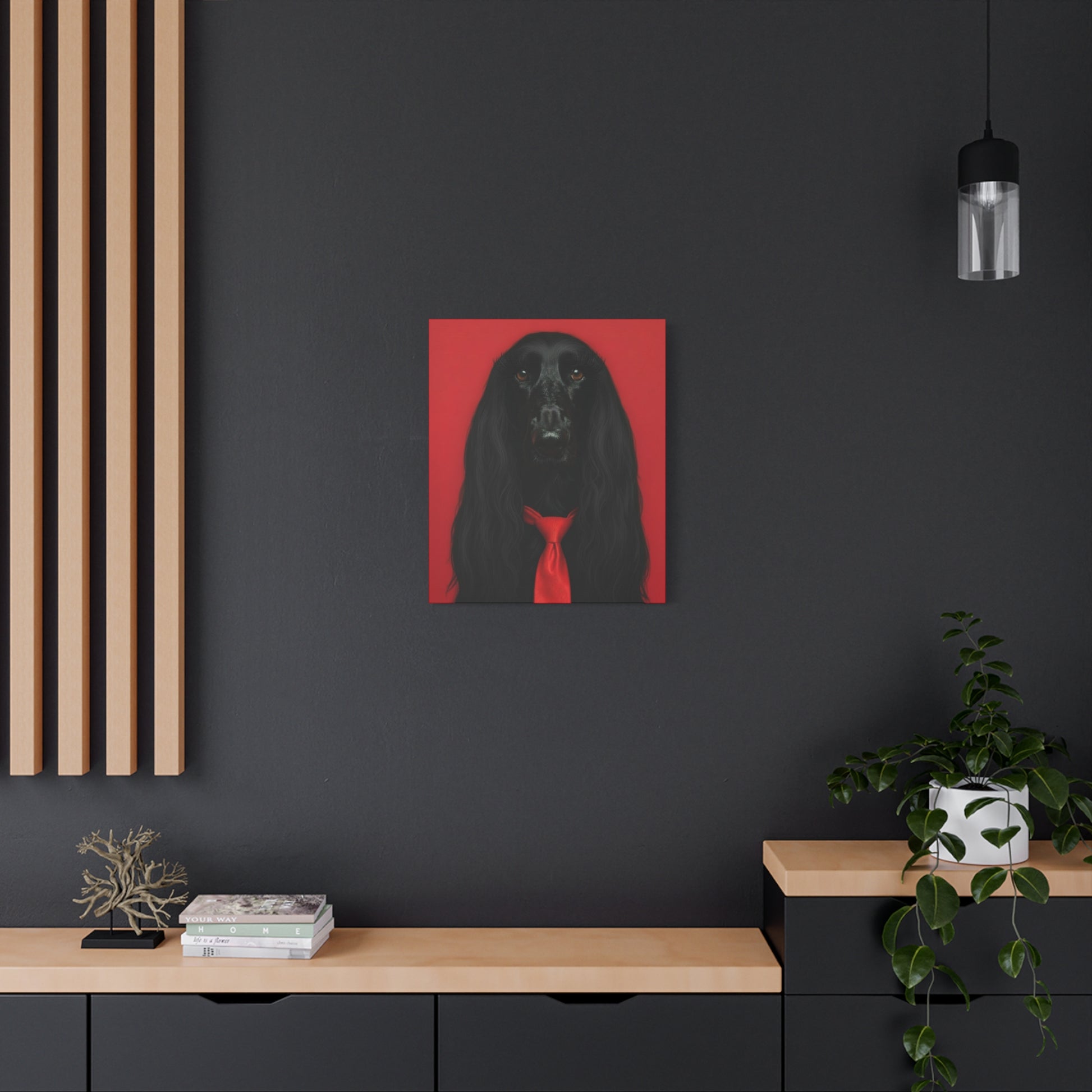 Glamorous Grandeur: Black & Red - Chunique Chihuahuas