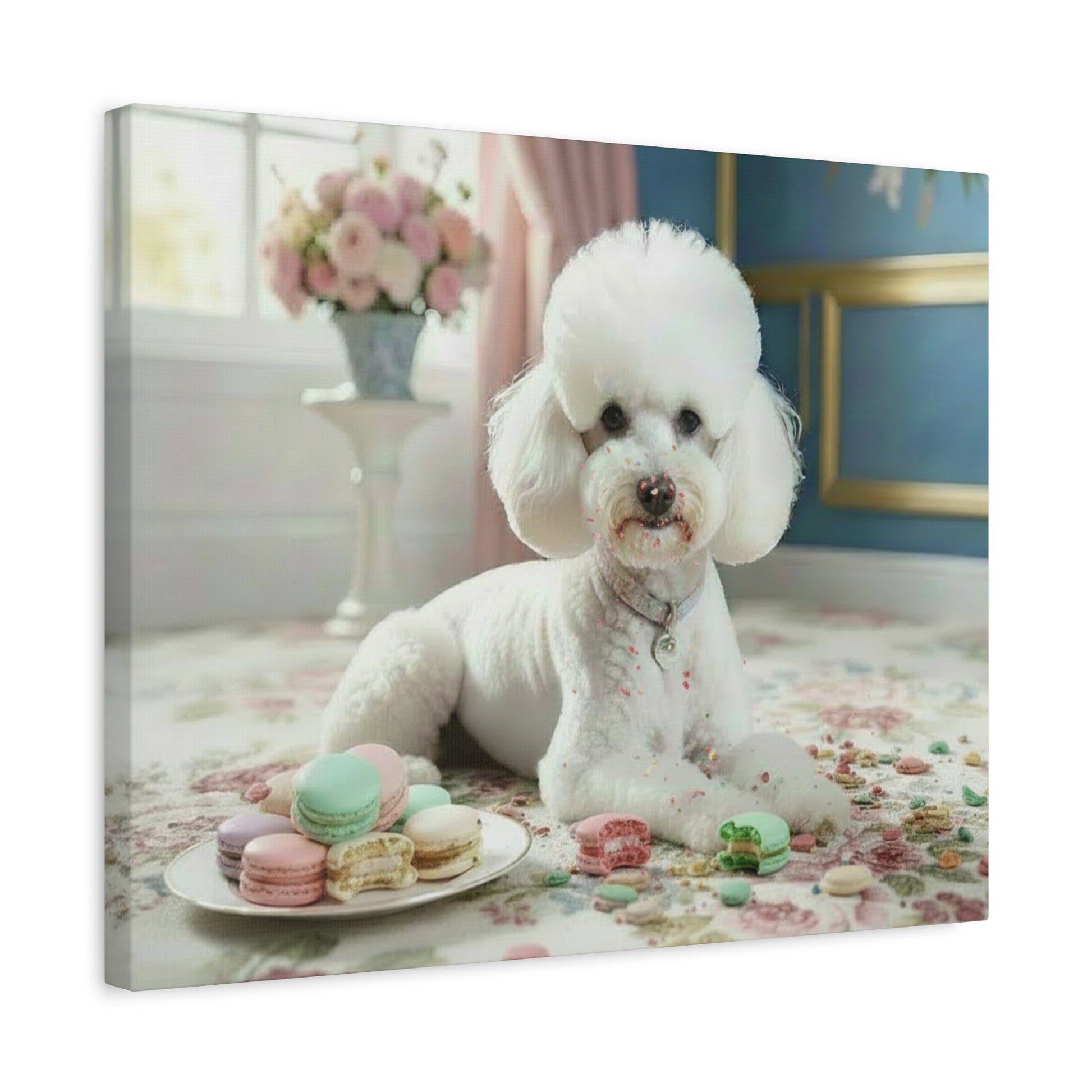 White poodle sitting on a floral rug with a plate of macarons in a decorated room.