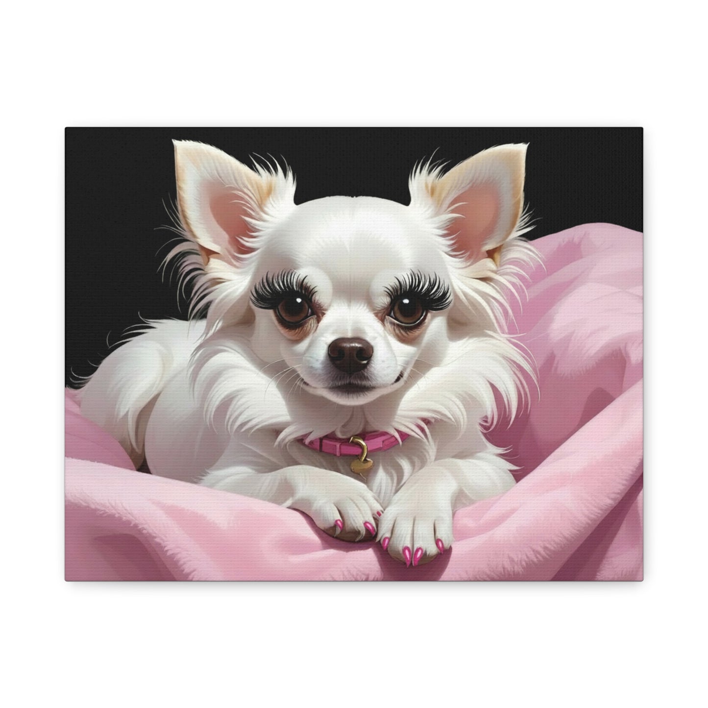 Perfectly Pink: Pink & Black - chunique chihuahuas