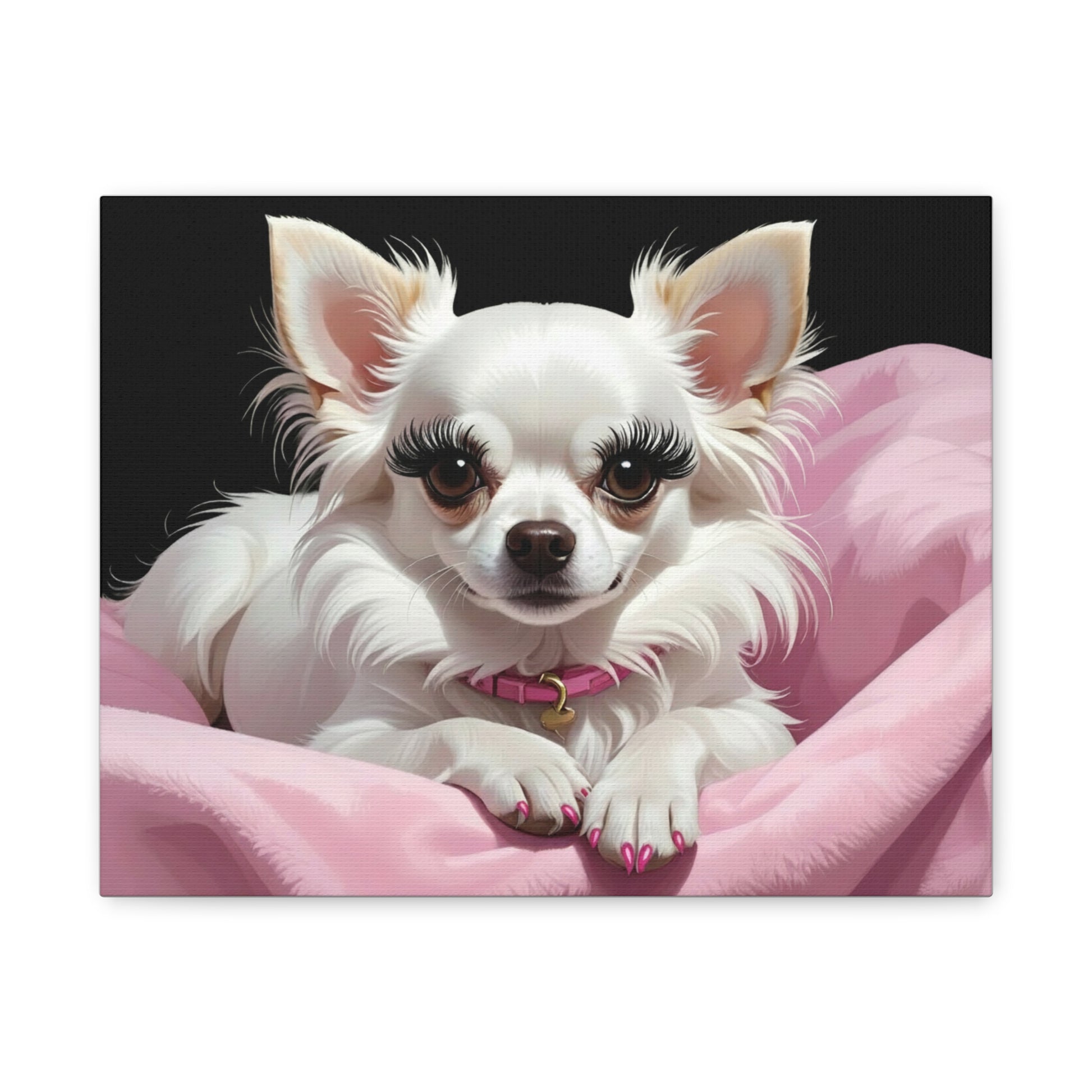 Perfectly Pink: Pink & Black - chunique chihuahuas