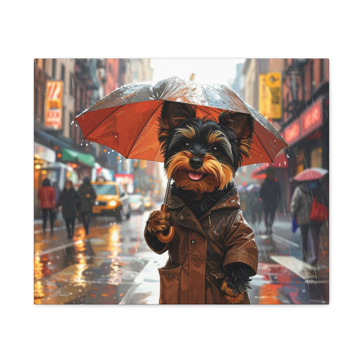 NY Yorkie: Everyday Rain - Chunique Chihuahuas