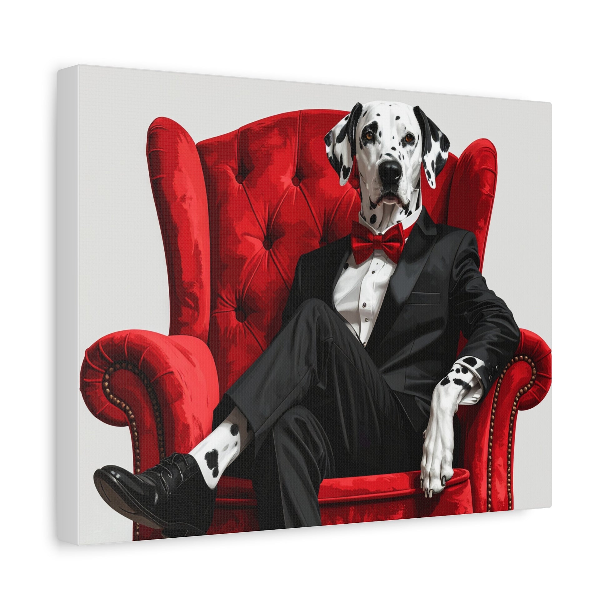 Black & White: Tuxedo - chunique chihuahuas