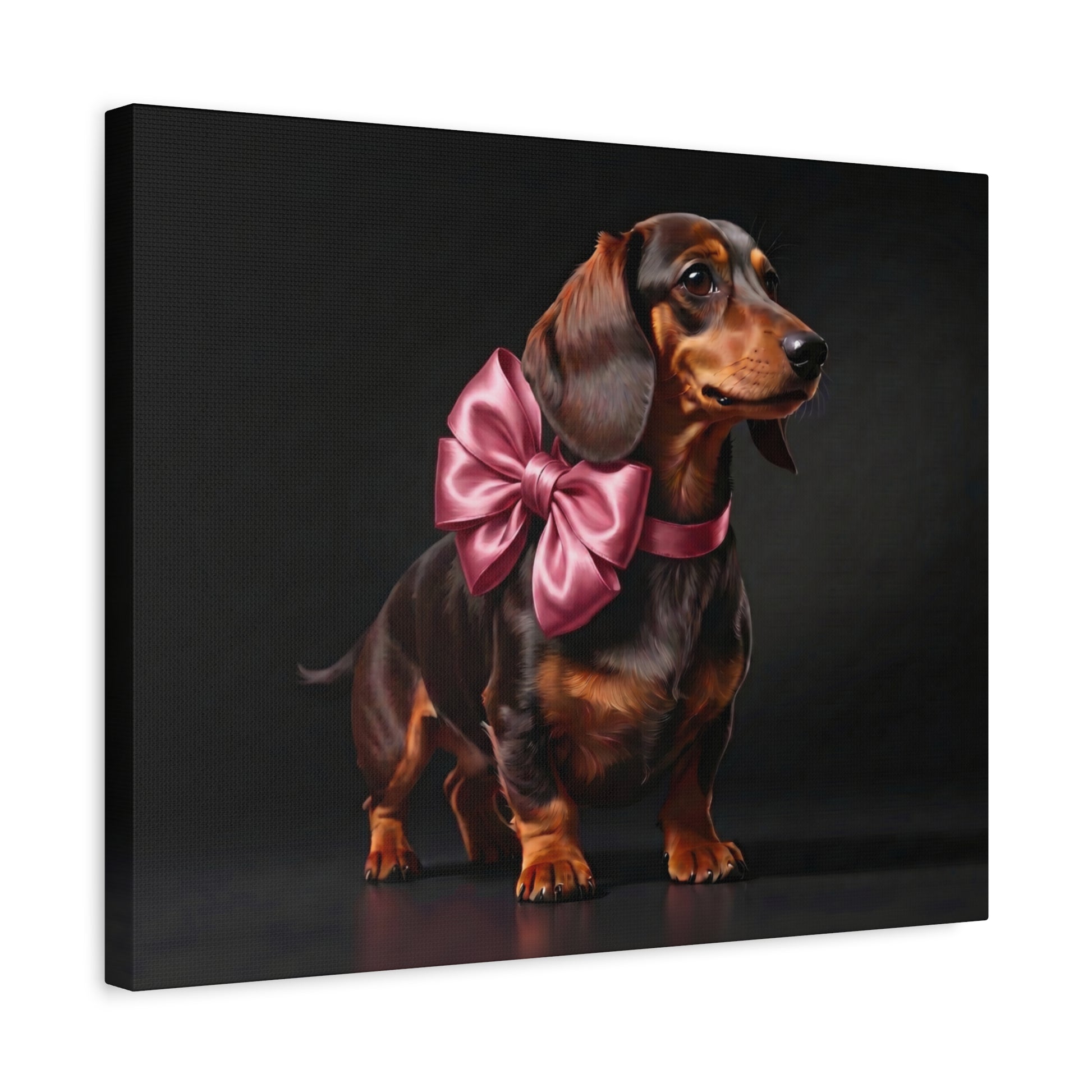 Darling Dachshunds: Pink Bow - Chunique Chihuahuas