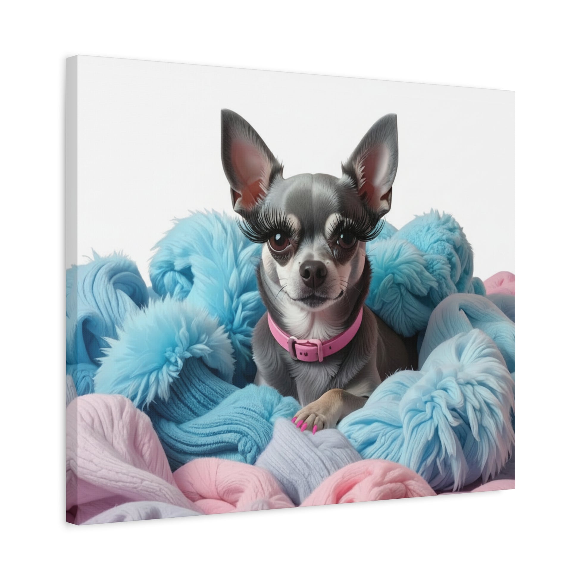 Perfectly Pink: Pink & Blue - Chunique Chihuahuas