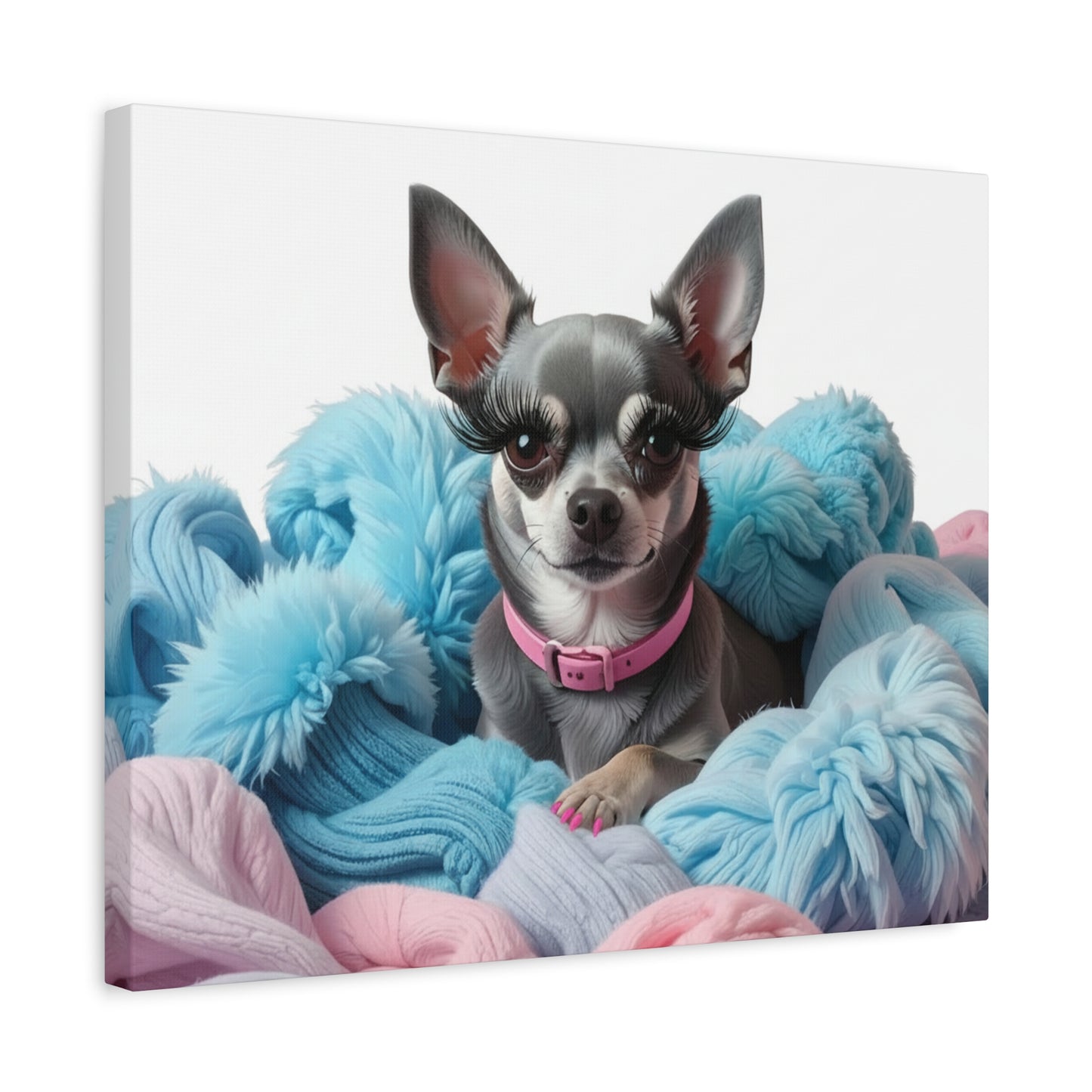 Perfectly Pink: Pink & Blue - Chunique Chihuahuas