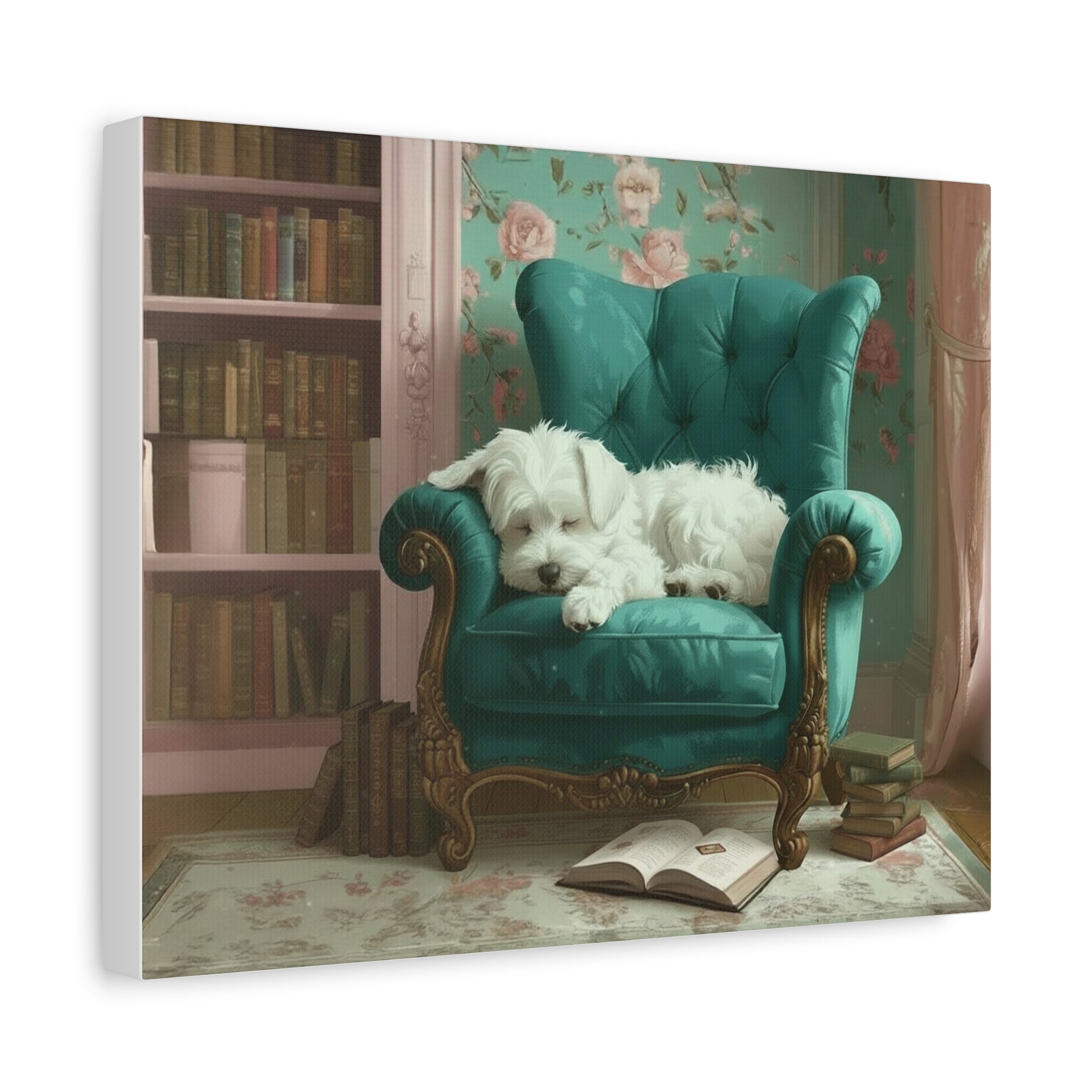 Bougie Bichon: The Library - chunique chihuahuas