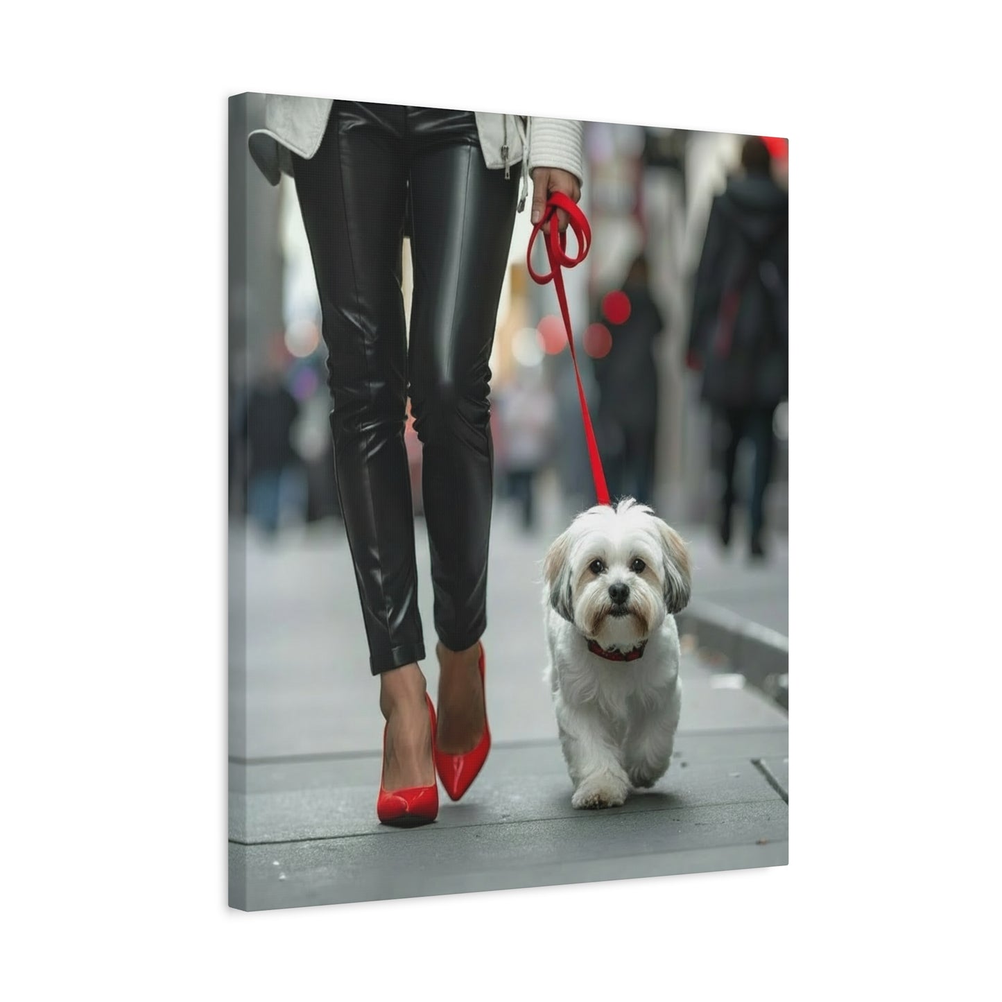 Shih Tzu Glitz: Off - Duty - Chunique Chihuahuas