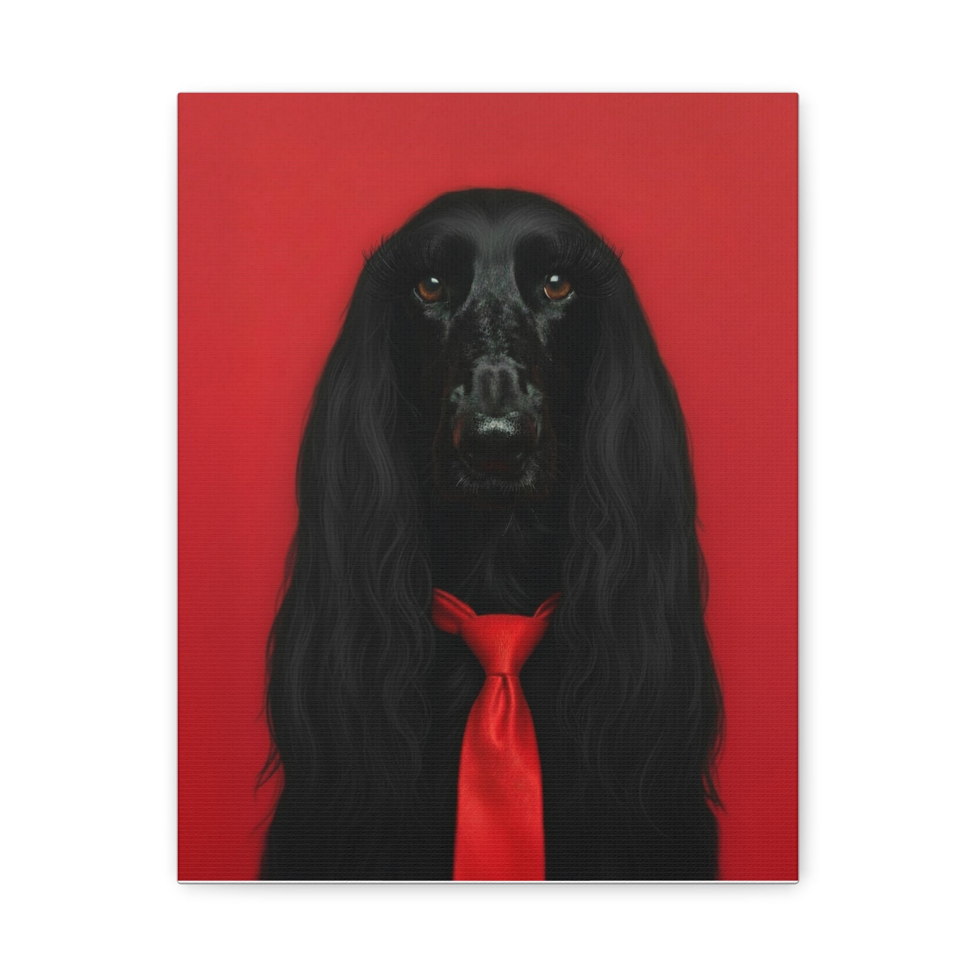 Glamorous Grandeur: Black & Red - chunique chihuahuas