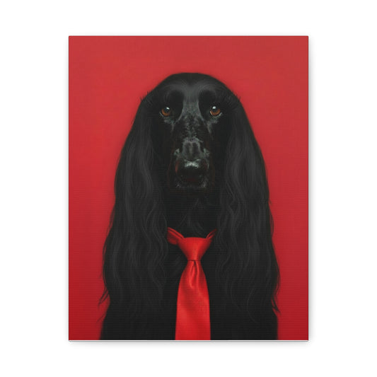 Glamorous Grandeur: Black & Red - chunique chihuahuas