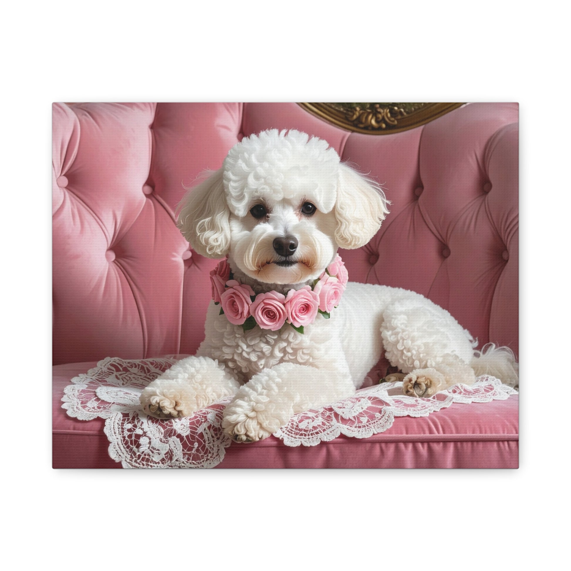 Bougie Bichon: Pink Velvet - chunique chihuahuas
