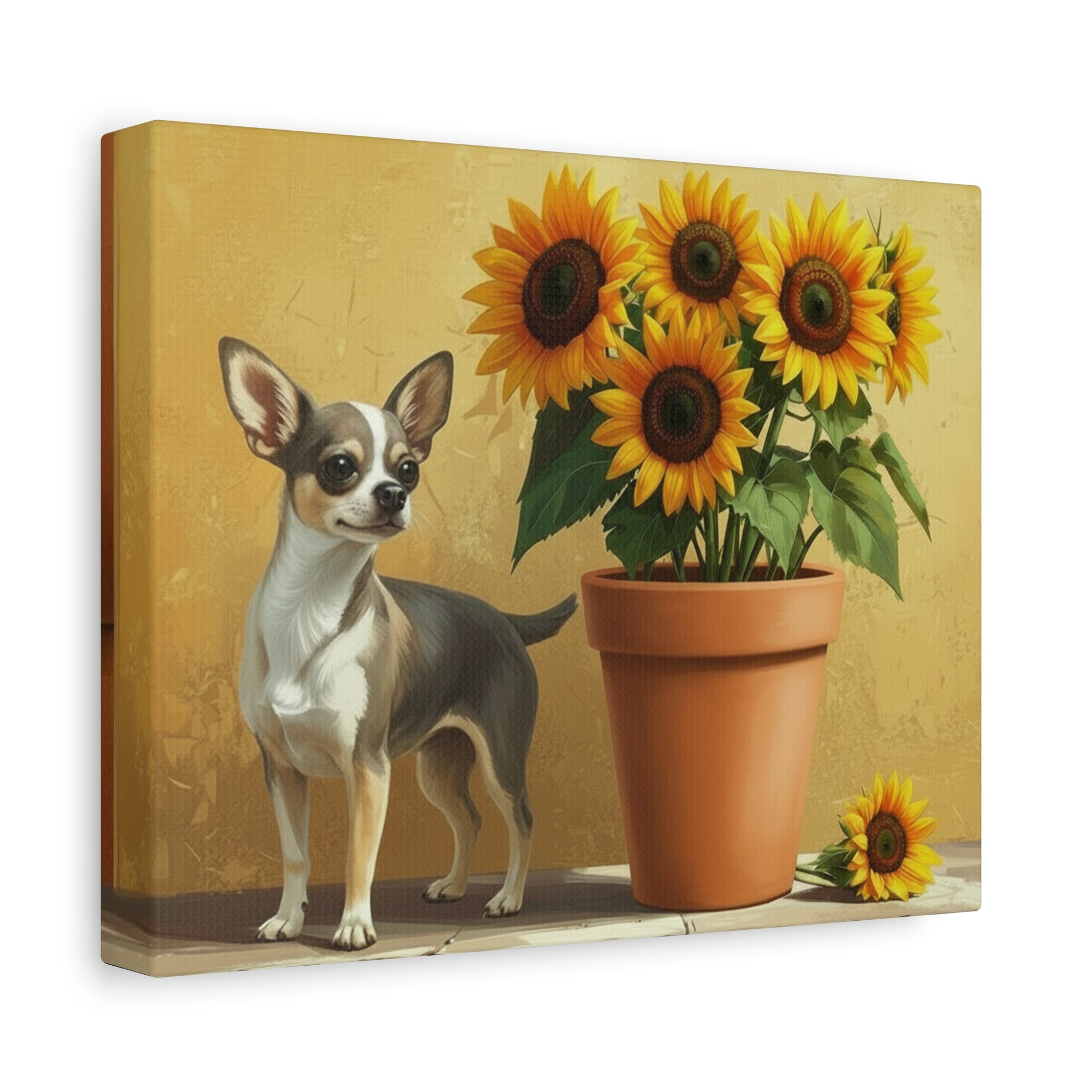The Southwest: Sunflowers & Chihuahuas - Chunique Chihuahuas