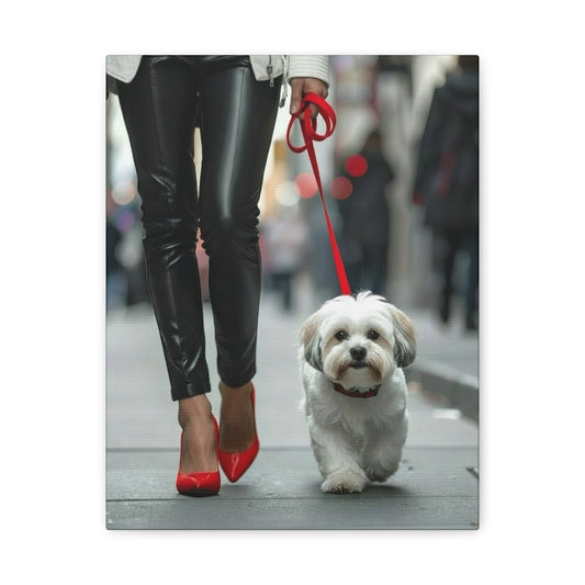 Shih Tzu Glitz: Off - Duty - Chunique Chihuahuas