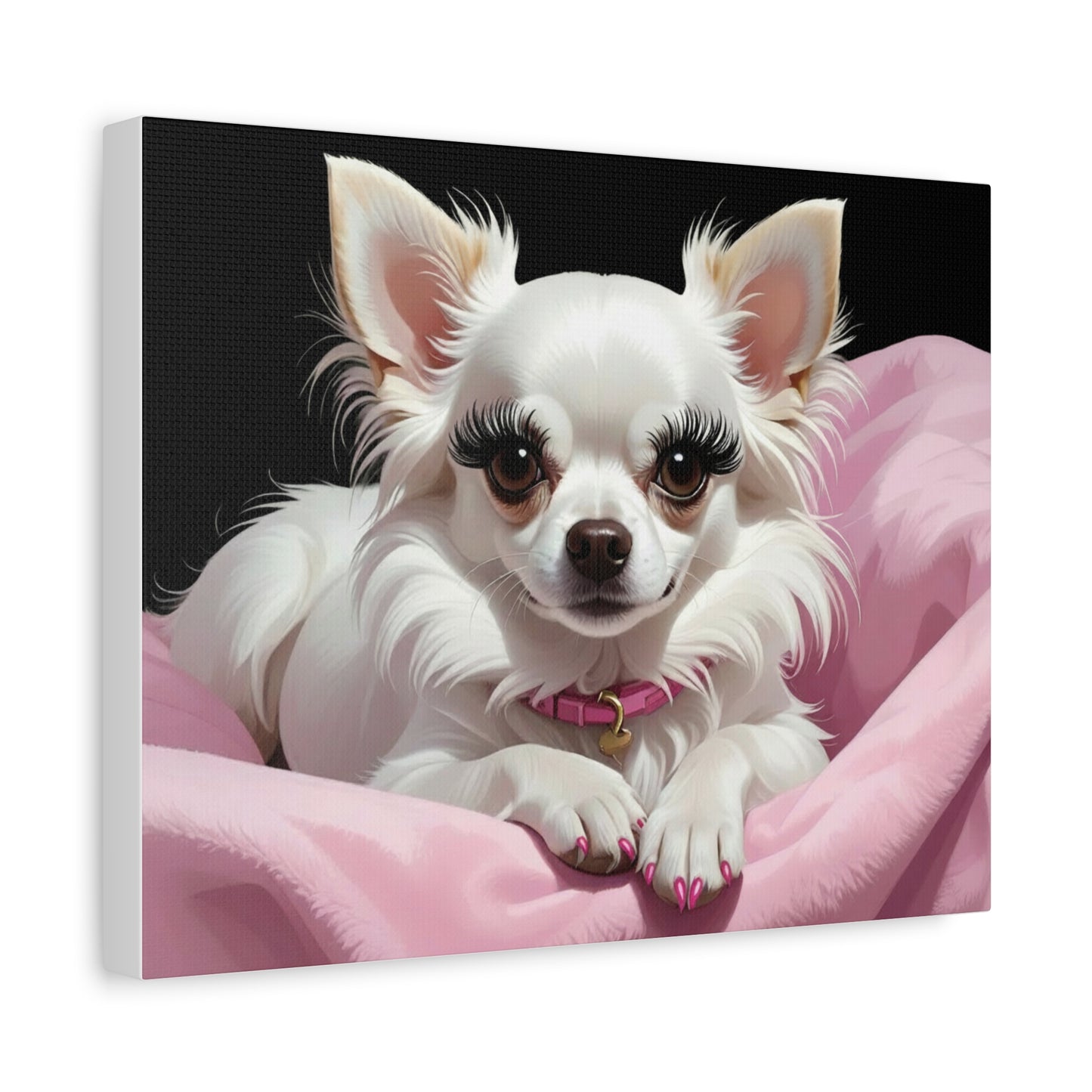 Perfectly Pink: Pink & Black - chunique chihuahuas