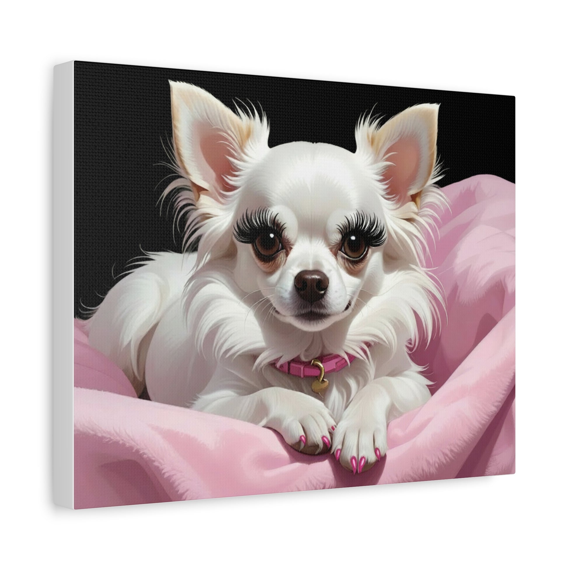Perfectly Pink: Pink & Black - chunique chihuahuas