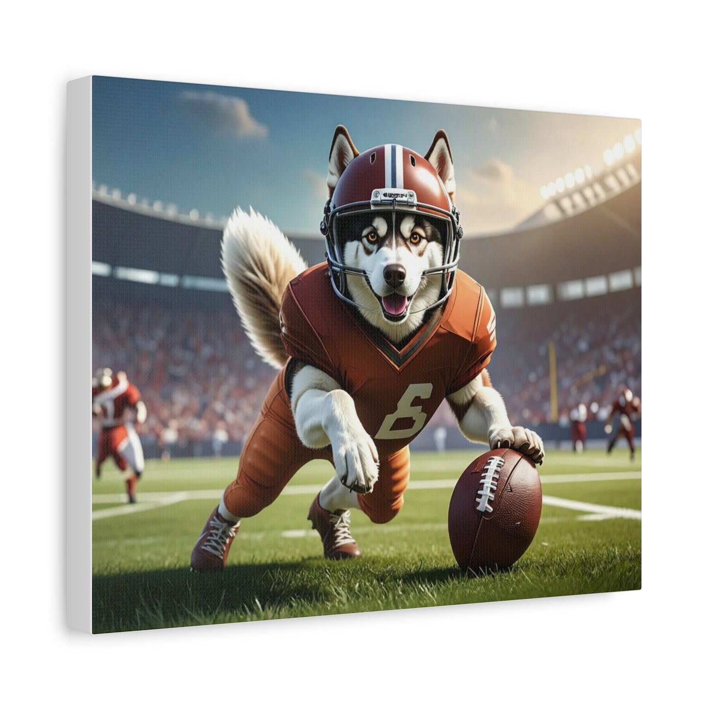 All-Star: Football - chunique chihuahuas