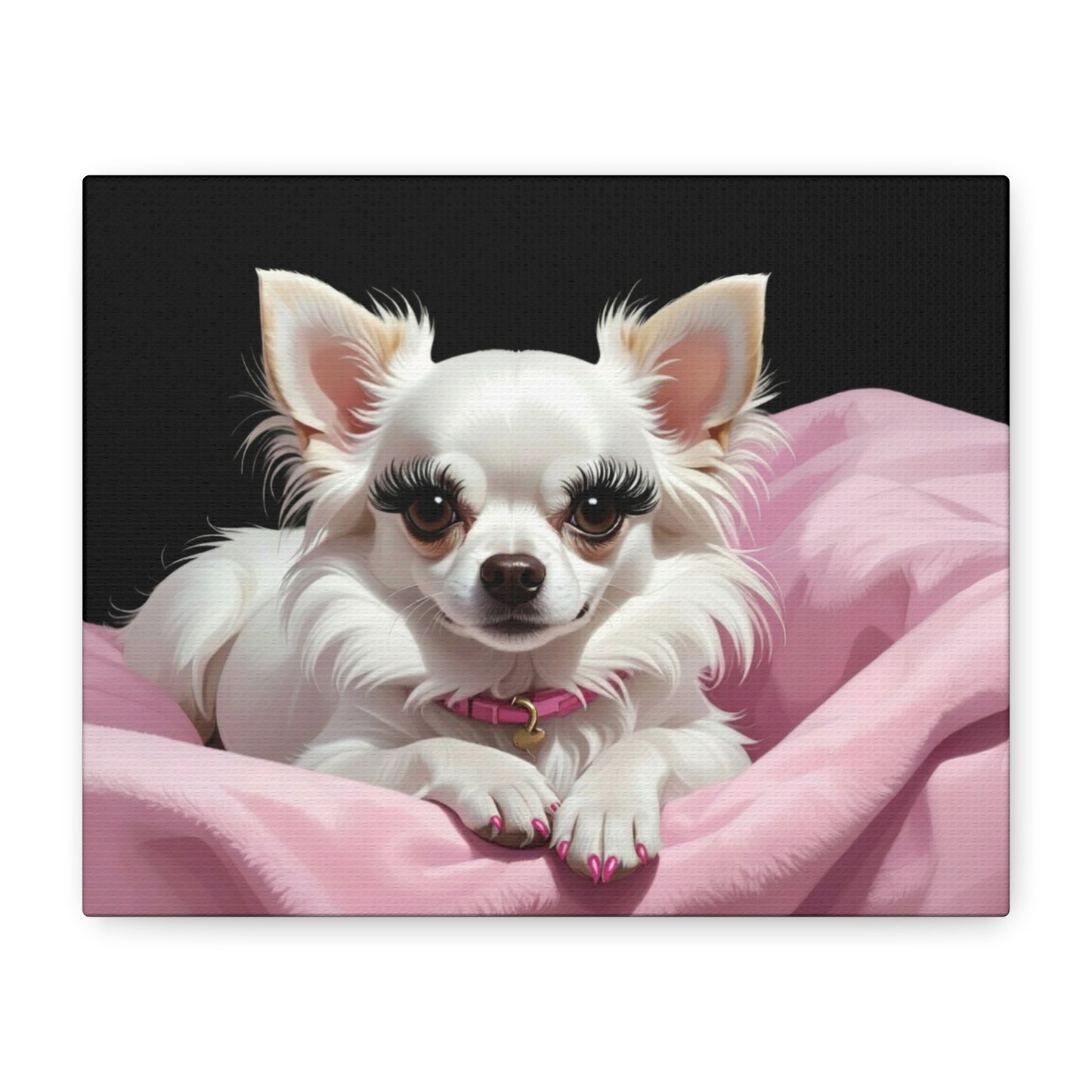 Perfectly Pink: Pink & Black - Chunique Chihuahuas