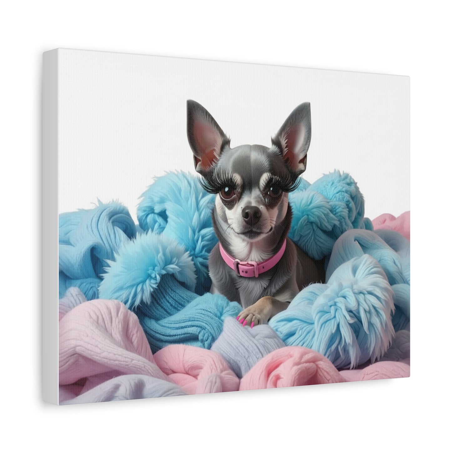 Perfectly Pink: Pink & Blue - chunique chihuahuas