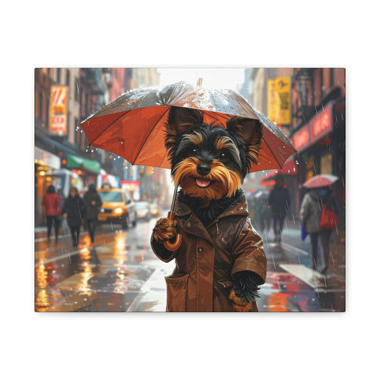 NY Yorkie: Everyday Rain - Chunique Chihuahuas
