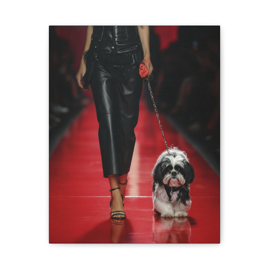 Shih Tzu Glitz: Runway - Chunique Chihuahuas