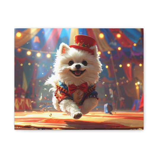 Pom - Pom Mayhem: Ringmaster - chunique chihuahuas