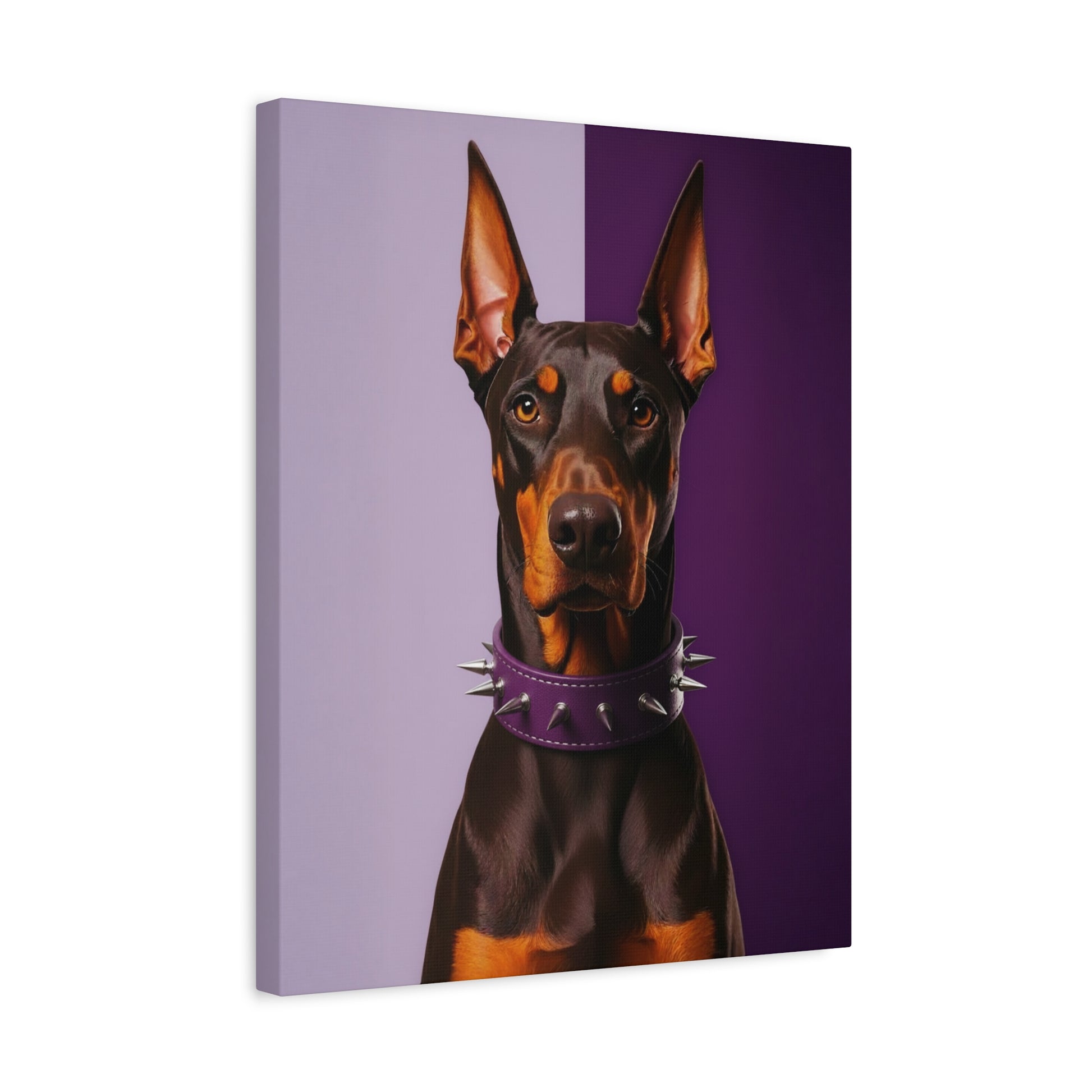 Canvas print of a Doberman with a spiked collar on a purple background