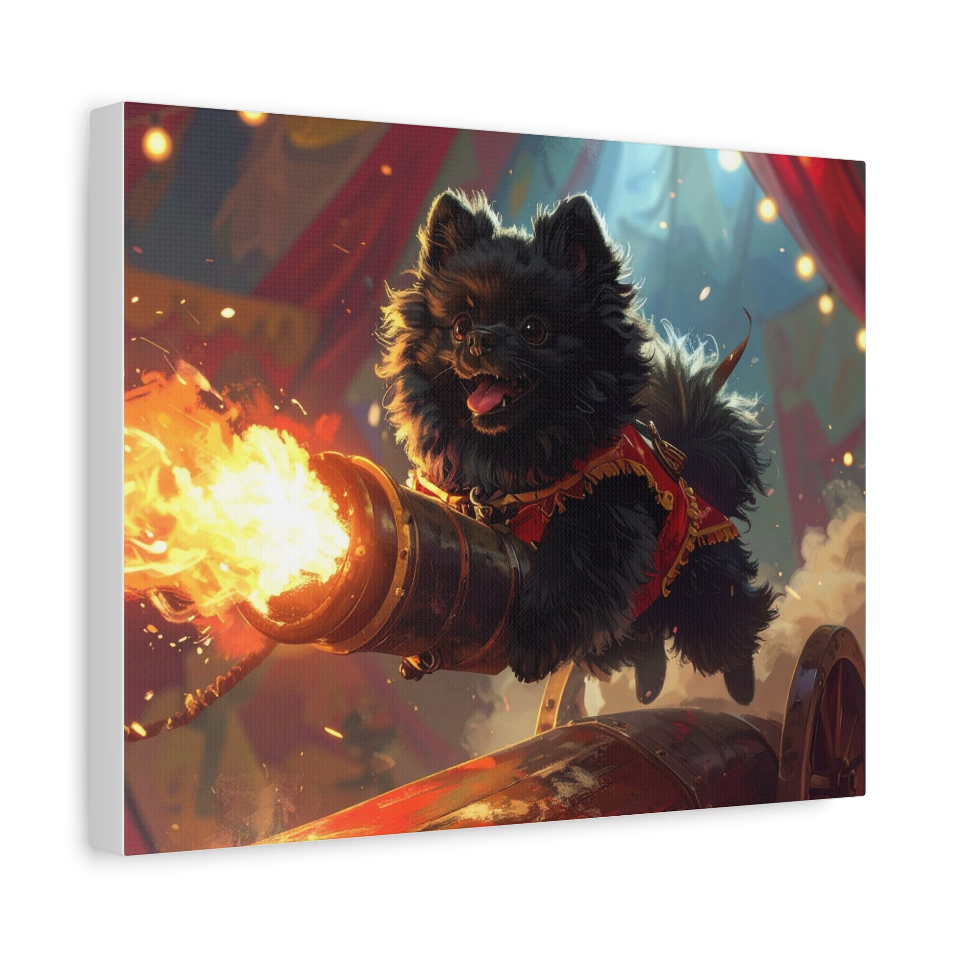 Pom - Pom Mayhem: Cannon - chunique chihuahuas