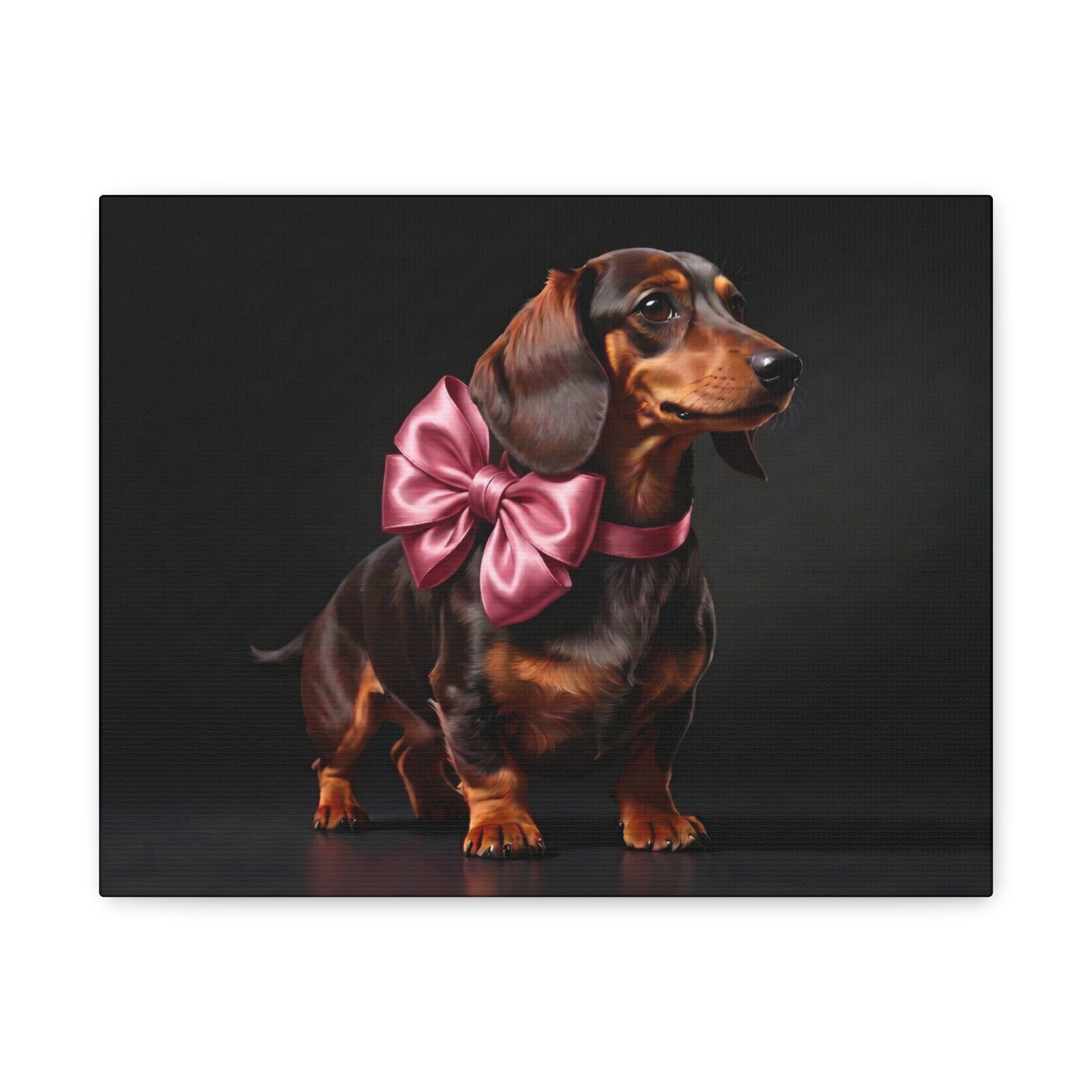 Darling Dachshunds: Pink Bow - Chunique Chihuahuas