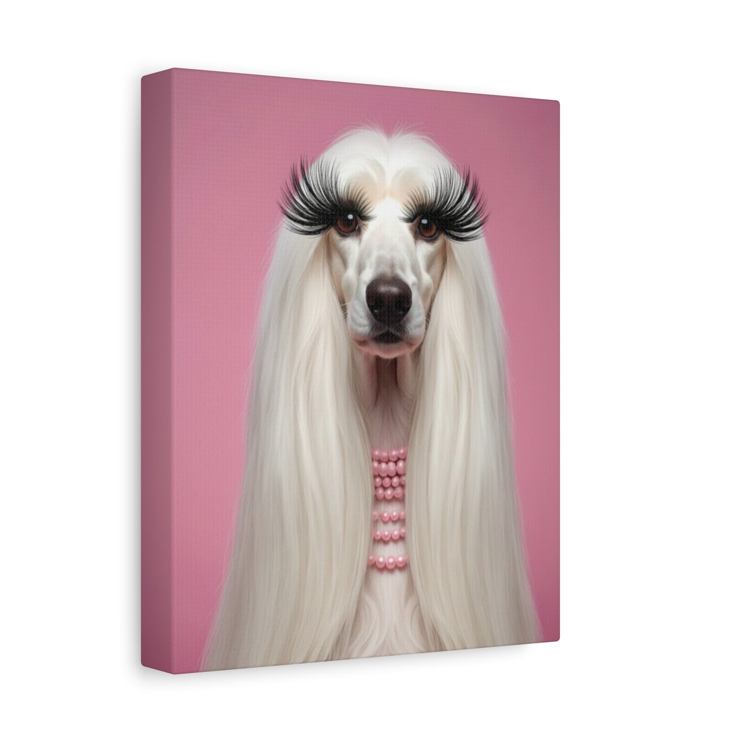 Glamorous Grandeur: White & Pink - Chunique Chihuahuas
