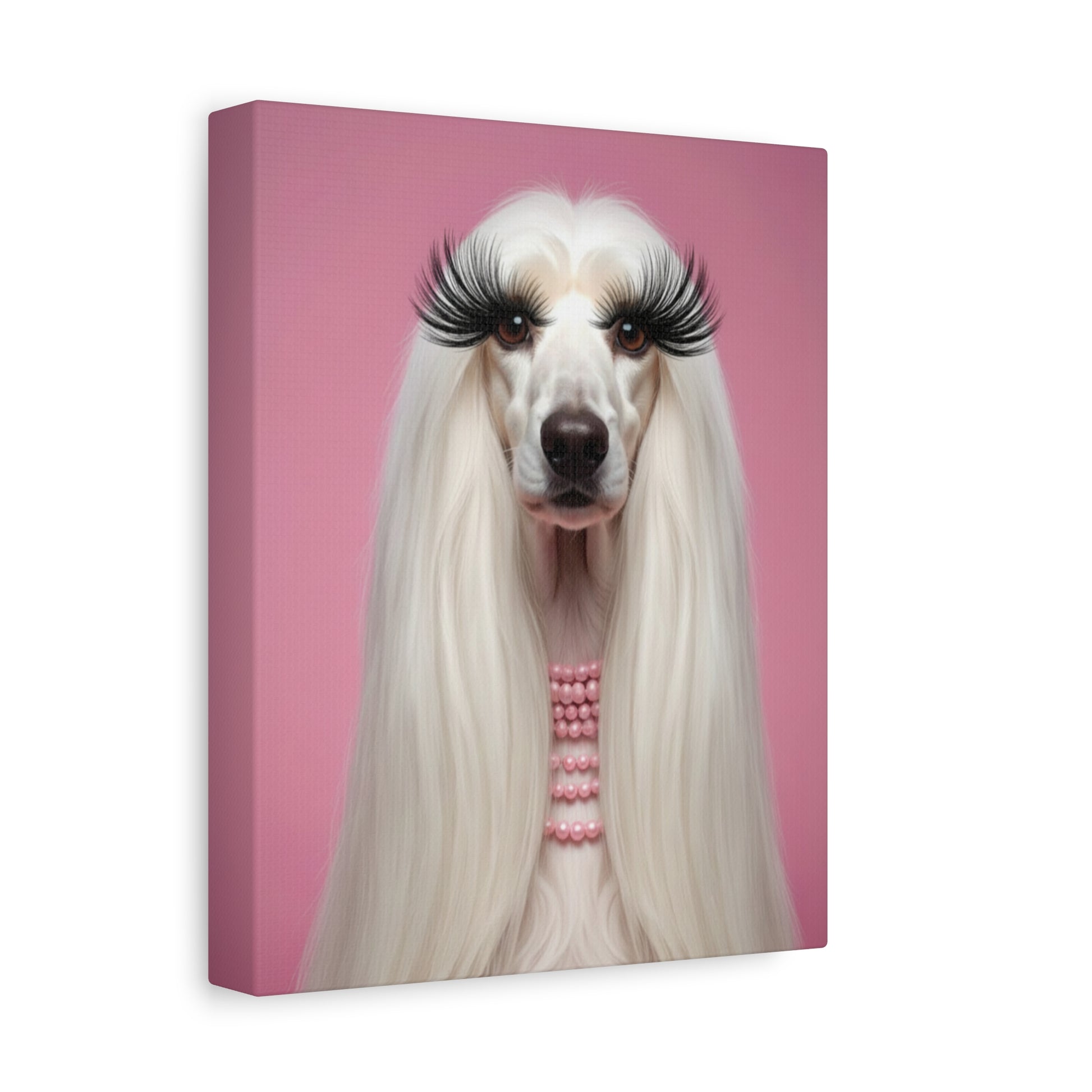 Glamorous Grandeur: White & Pink - Chunique Chihuahuas
