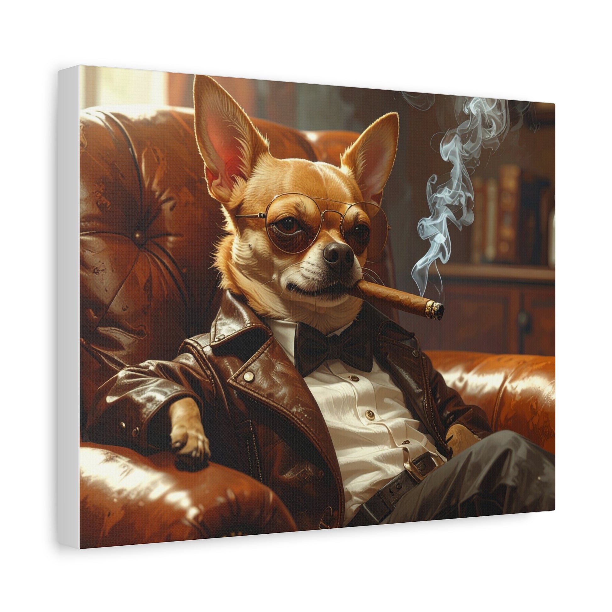 Rags to Riches: Smoking Cigar - chunique chihuahuas