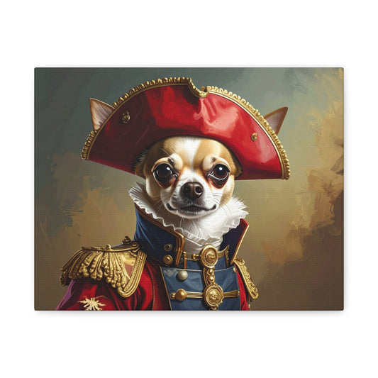 Napoleon: Portrait - Chunique Chihuahuas
