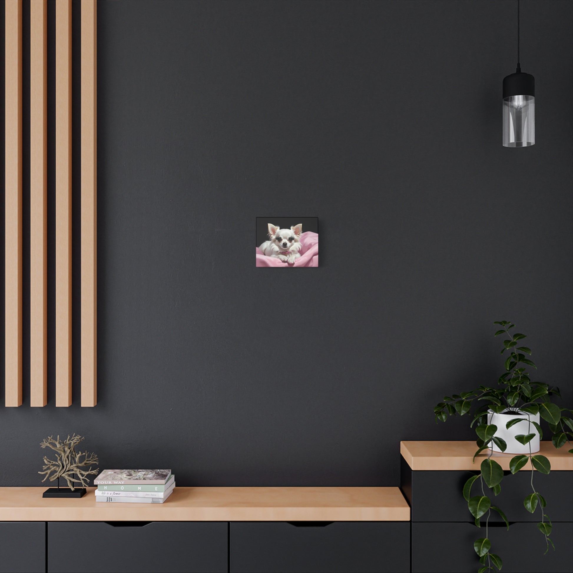 Perfectly Pink: Pink & Black - Chunique Chihuahuas