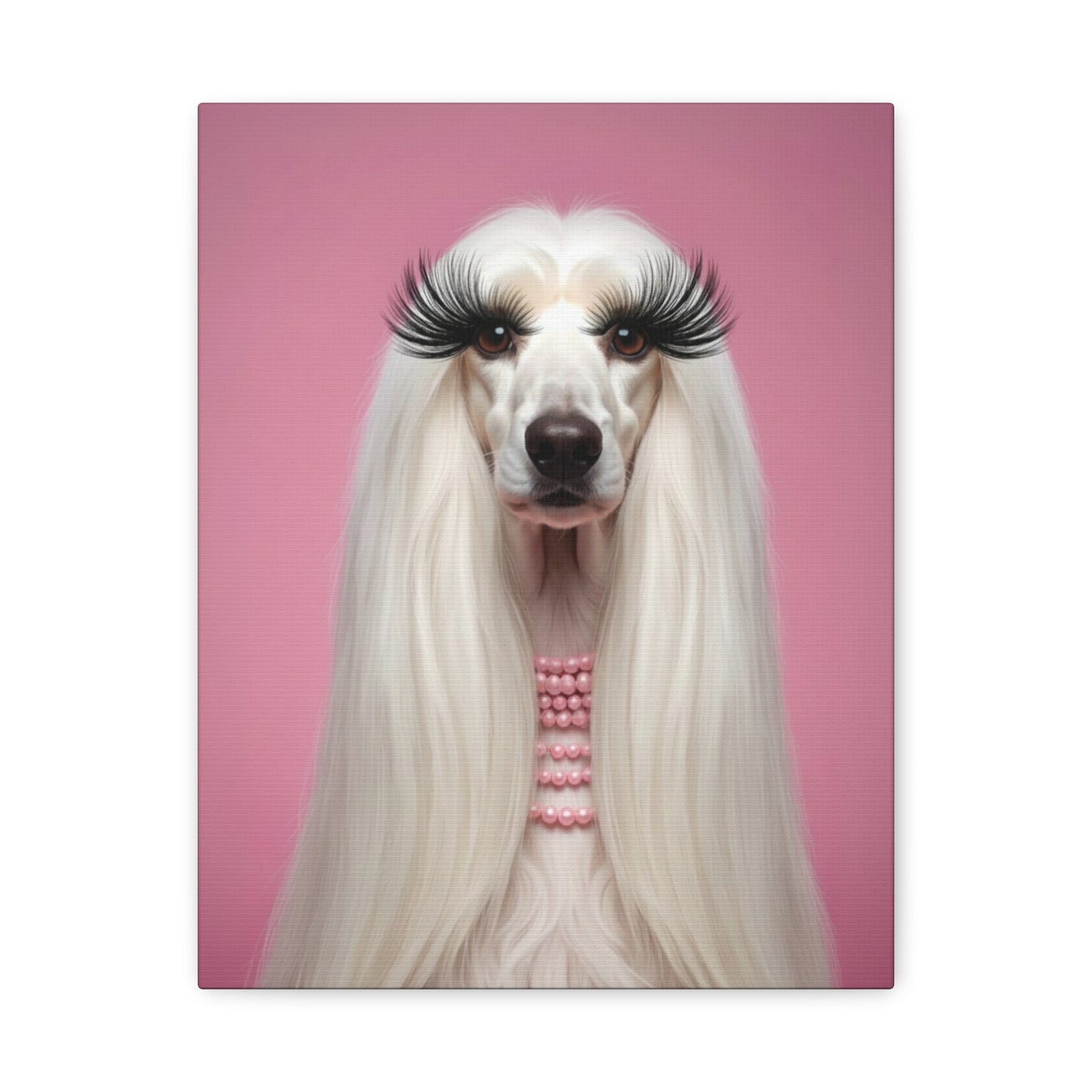 Glamorous Grandeur: White & Pink - Chunique Chihuahuas