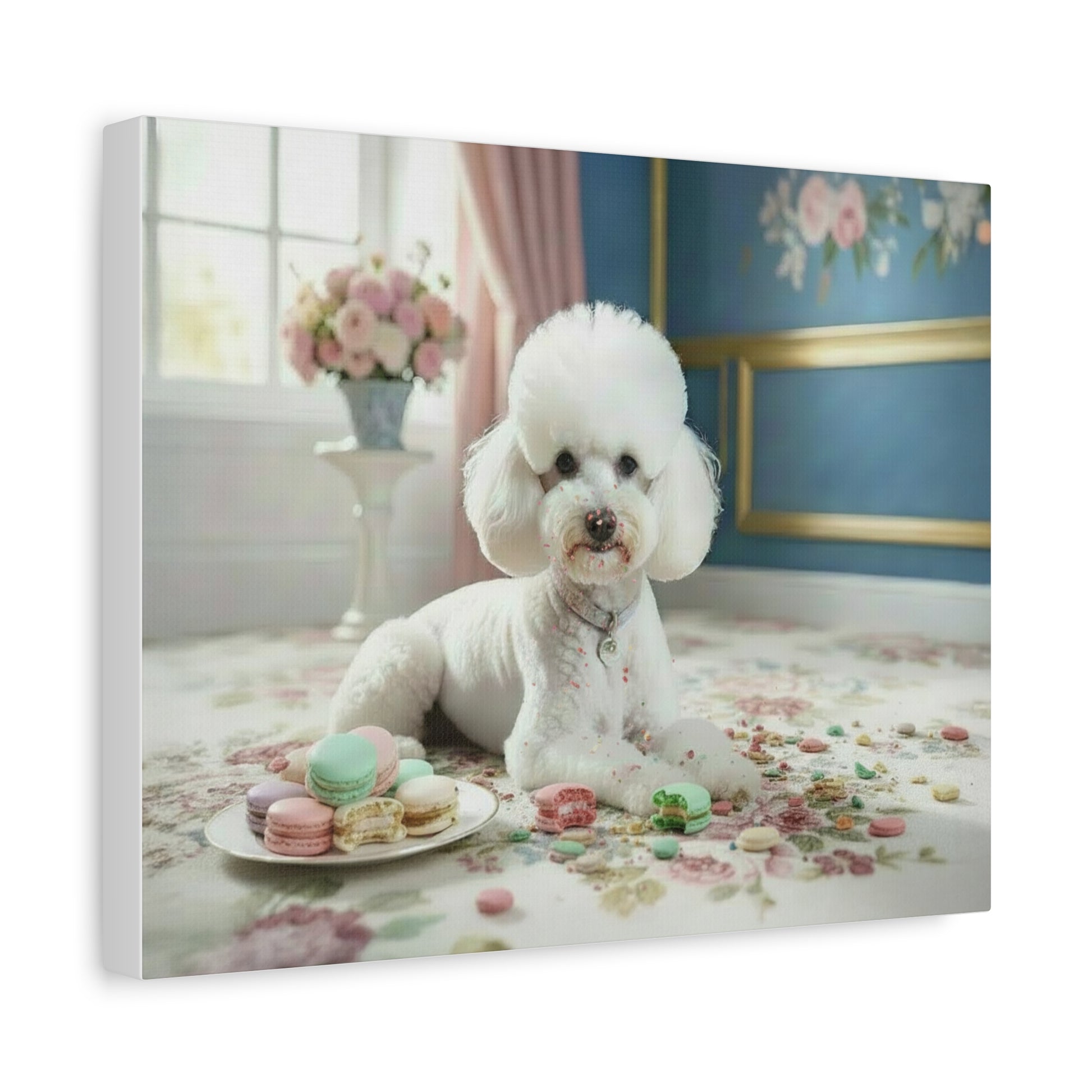 Bougie Bichon: Macarons - chunique chihuahuas