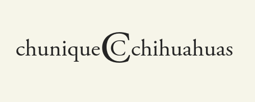 chunique chihuahuas